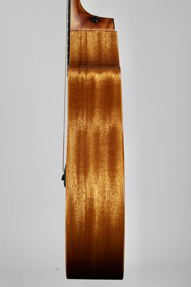 Taylor 324ce Studio Special Edition - Shaded Edgeburst