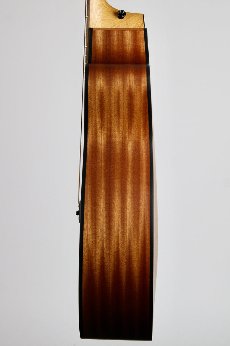 Taylor 114ce Special Edition - Dark Tobacco Shaded Edgeburst