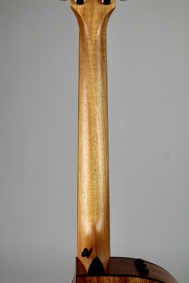 Taylor 114ce Spruce/Sapele - Natural w/Gig Bag
