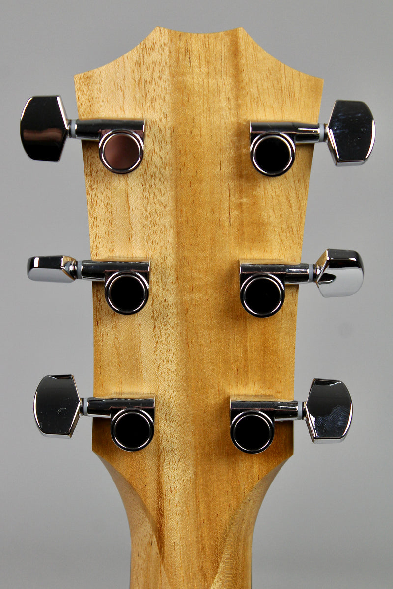 Taylor 117e Special Edition - Dark Tobacco Teardrop