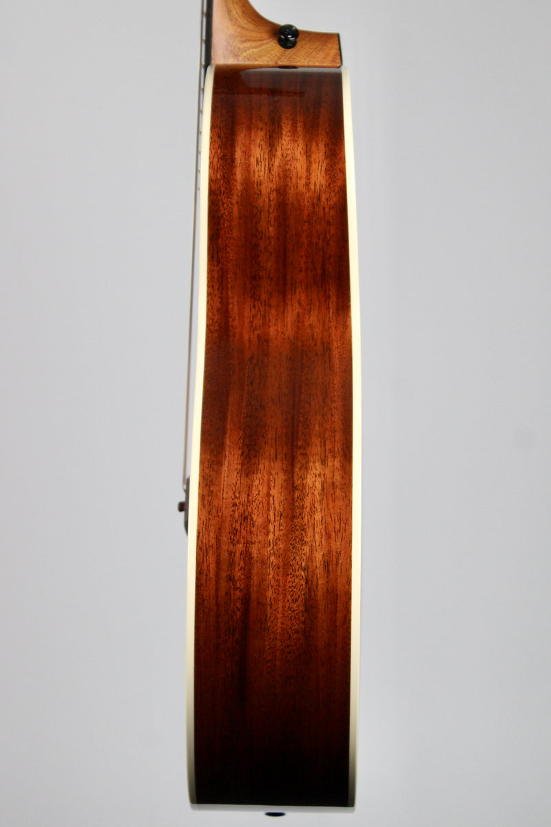 Taylor Gold Label 514e - Sunburst, Firestripe Pickguard