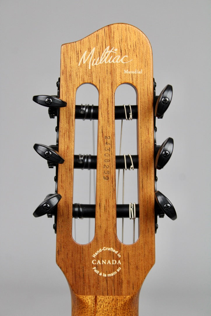 Godin Mundial Limited Edition - Hangover Explosion (démo)