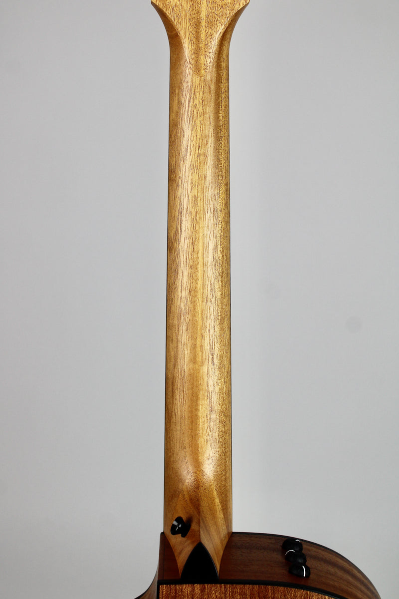 Taylor 114ce Special Edition - Dark Tobacco Shaded Edgeburst