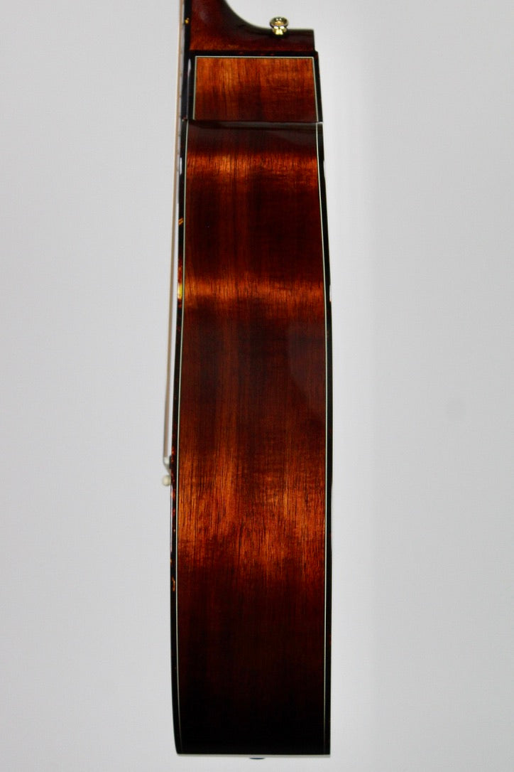 Takamine LTD2025 OM Édition Limitée (Japan) A/E