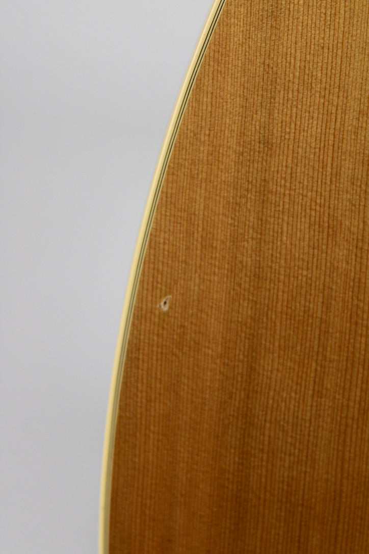 Godin Multiac Multioud SG Fretless Prototype - Natural (B-Stock)