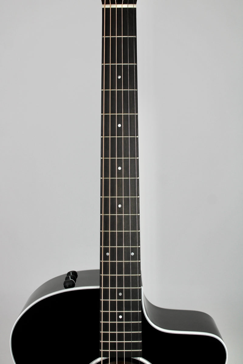 Taylor 214ce Plus - Black