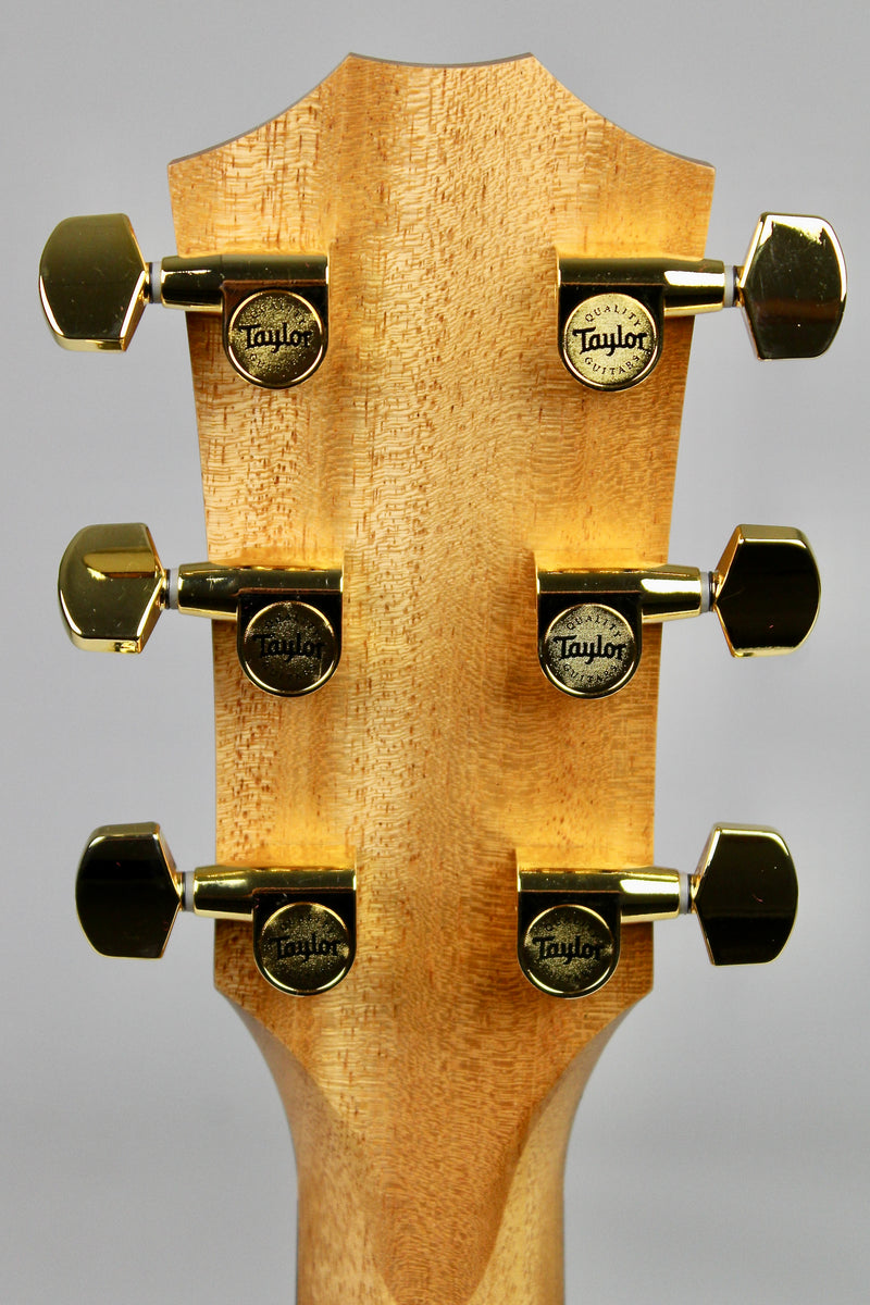 Taylor 224ce-K DLX - Shaded Edgeburst