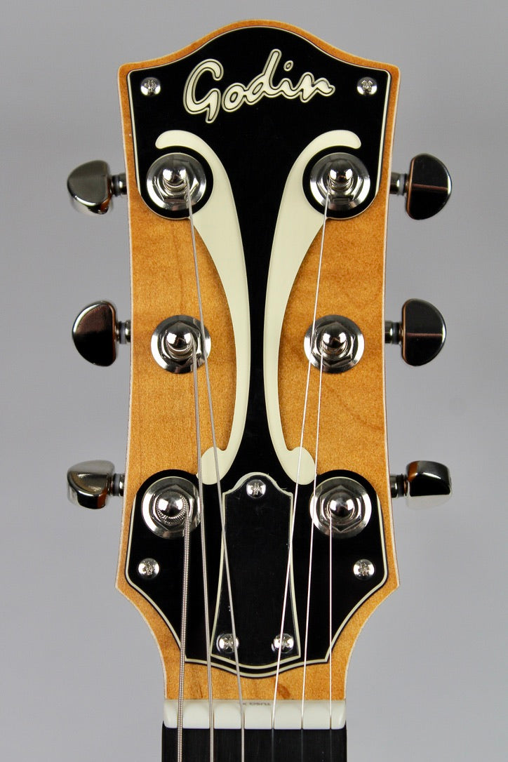 Godin 5th Avenue TL TV Jones Prototype - Trans Black (B-Stock)
