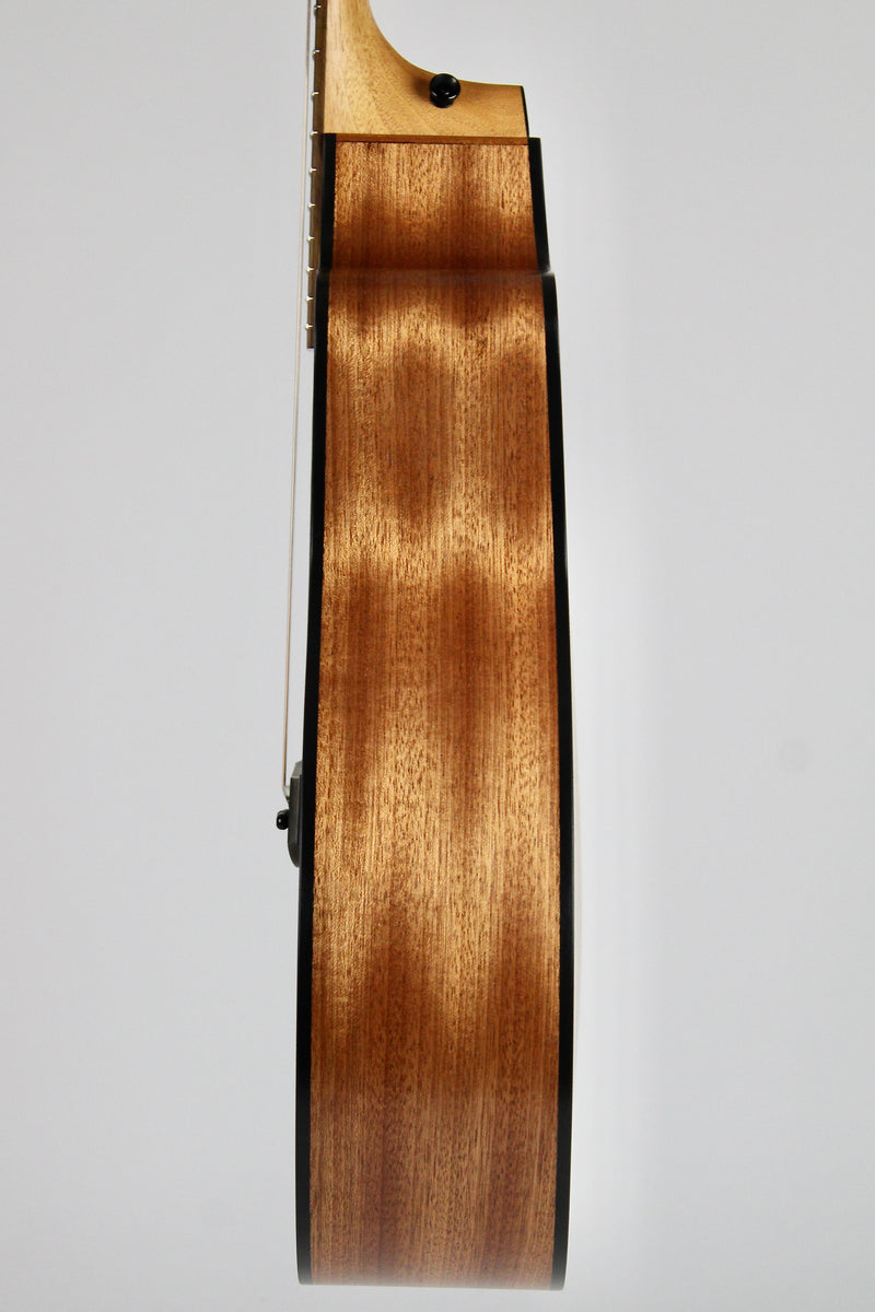 Taylor 114ce Spruce/Sapele - Natural w/Gig Bag