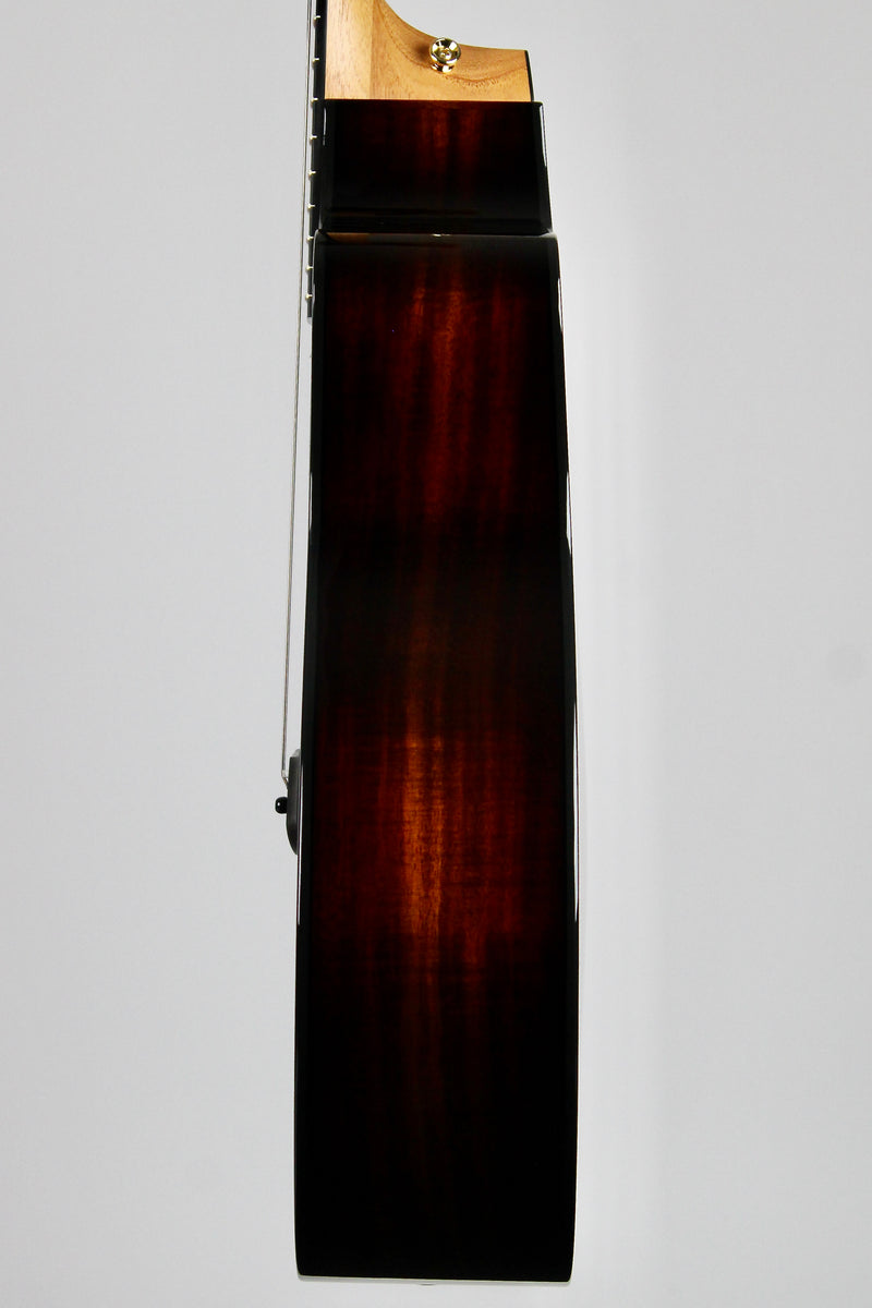Taylor 224ce-K DLX - Shaded Edgeburst