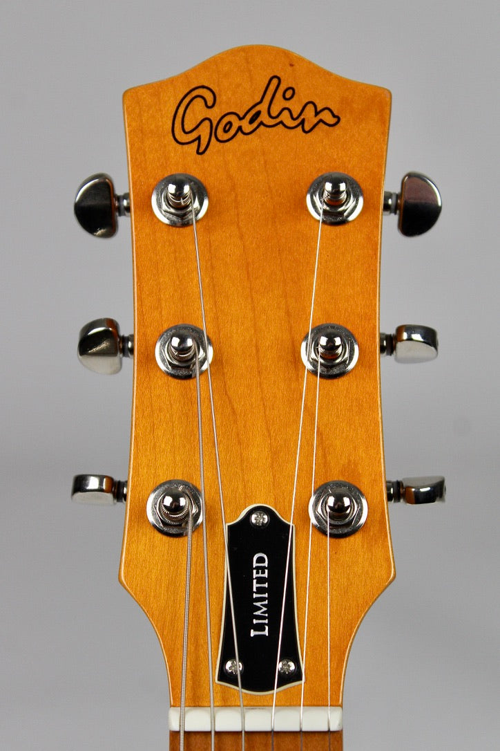 Godin Montreal Premiere Limited Edition - Platinum Grey (démo)