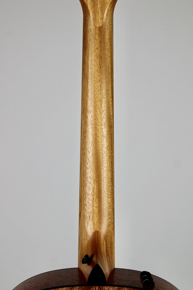 Taylor 117e Special Edition - Dark Tobacco Teardrop