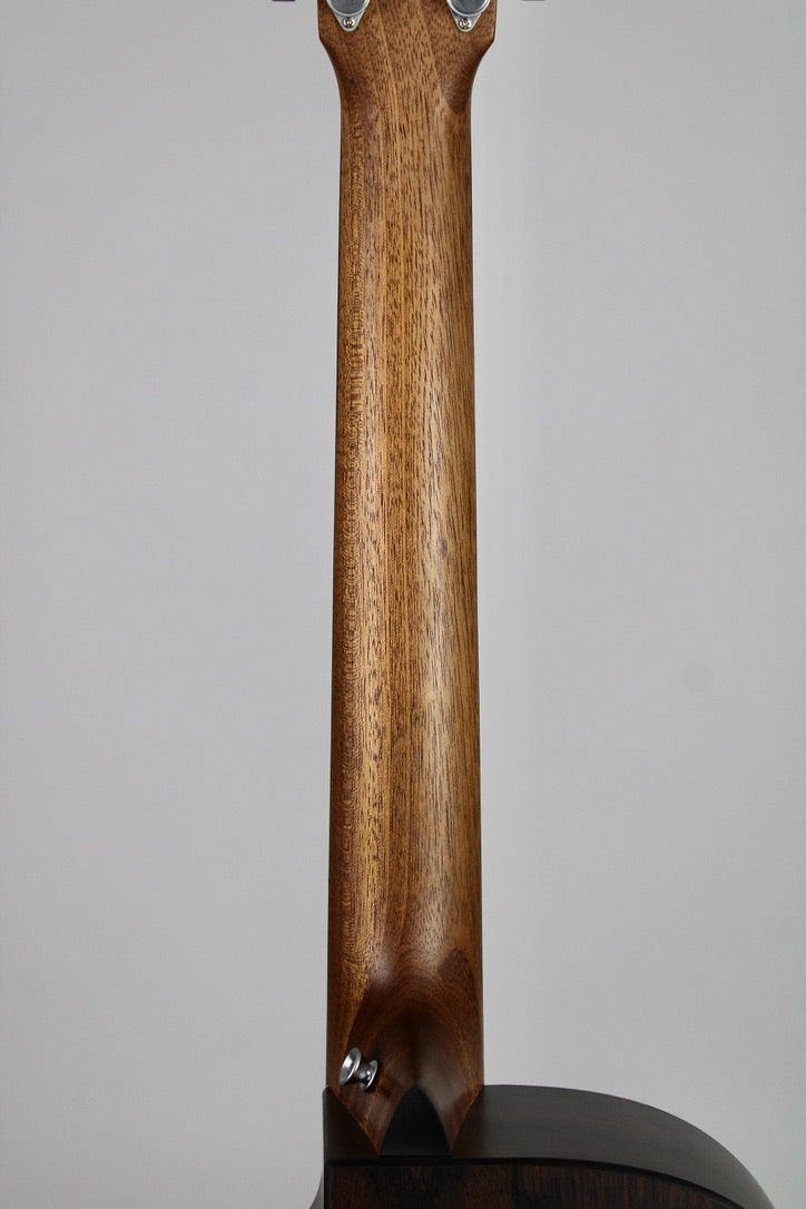 Martin DC-X2E 12-string A/E - Brazilian Rosewood Pattern