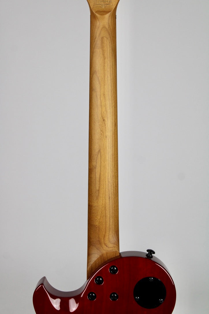 Schecter Solo-II Standard - Blood Burst