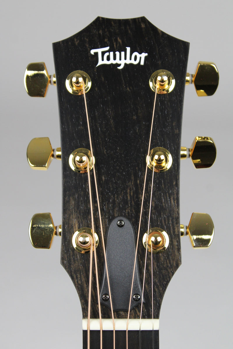 Taylor 224ce-K DLX - Shaded Edgeburst