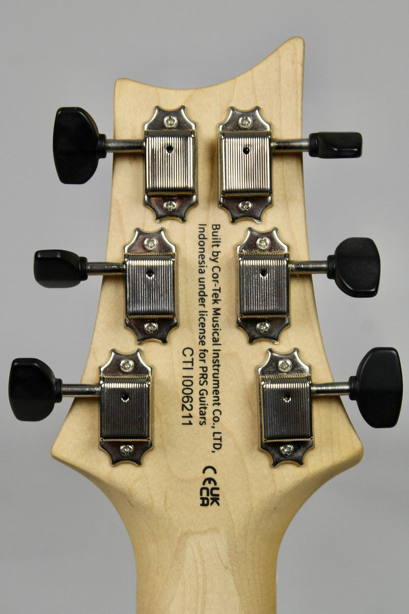 PRS SE NF 53 - White Doghair