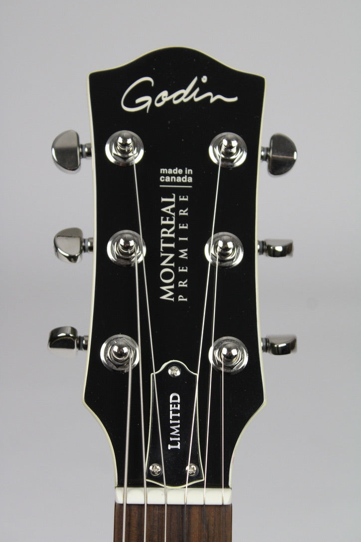 Godin Montreal Premiere LTD Desert Green avec Bigsby