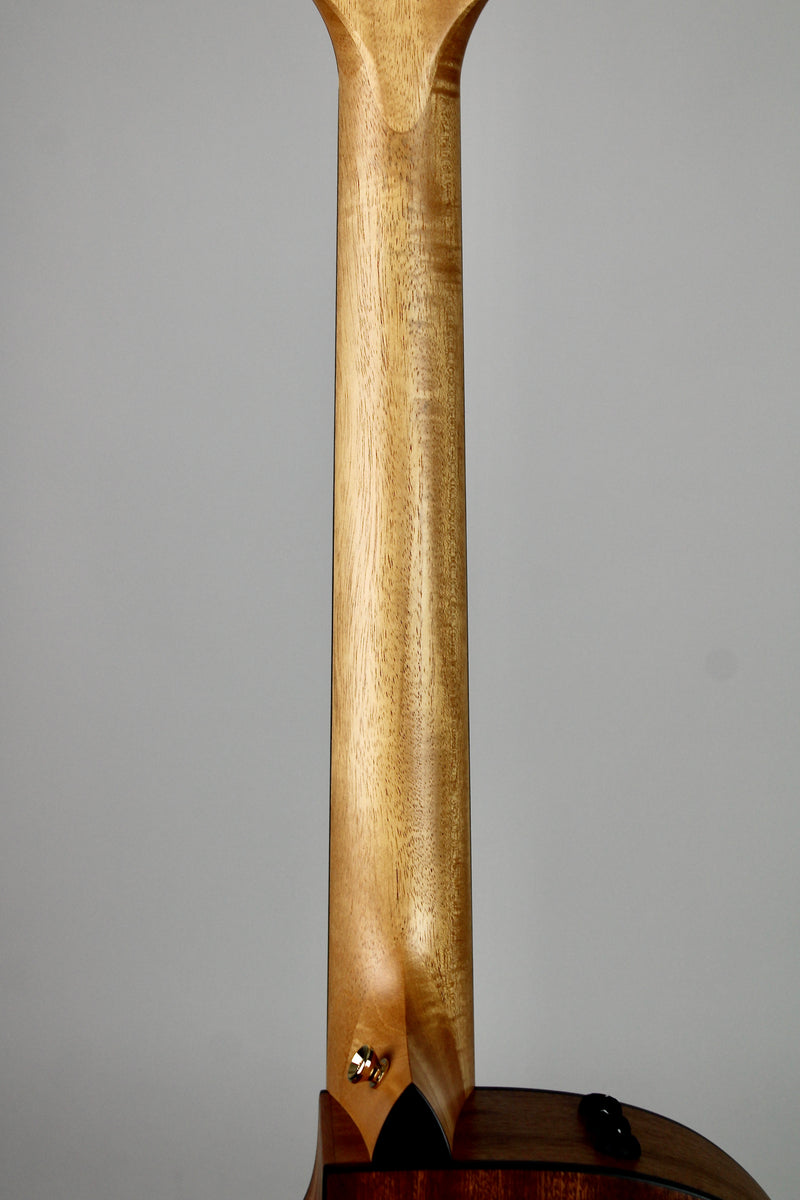 Taylor Sunset Blvd 114ce Shaded Edgeburst