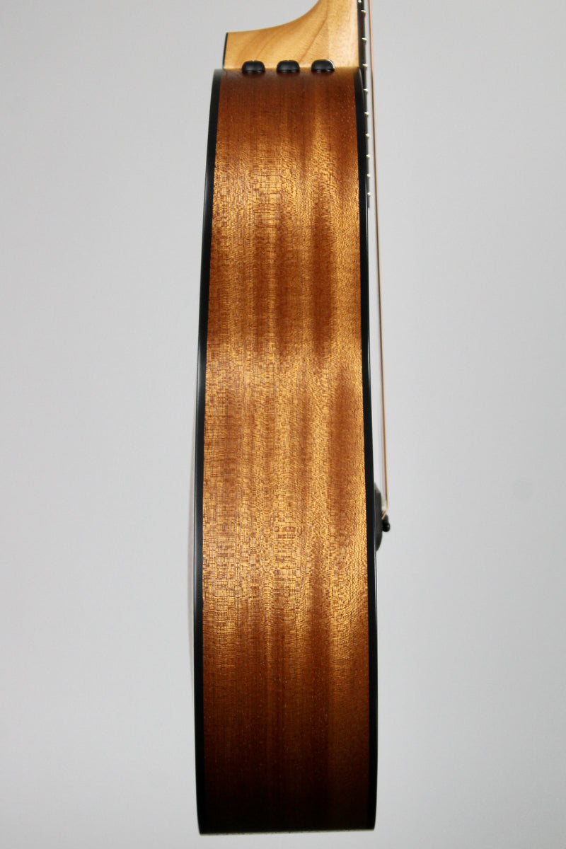Taylor 117e Special Edition - Dark Tobacco Teardrop