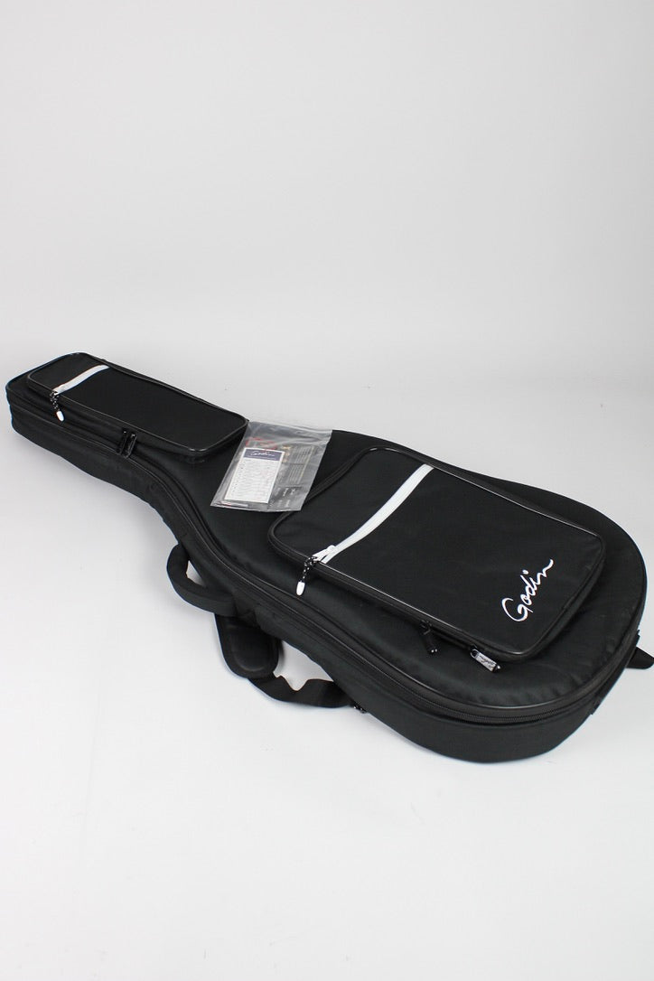 Godin Montreal Premiere Limited Edition - Platinum Grey (démo)