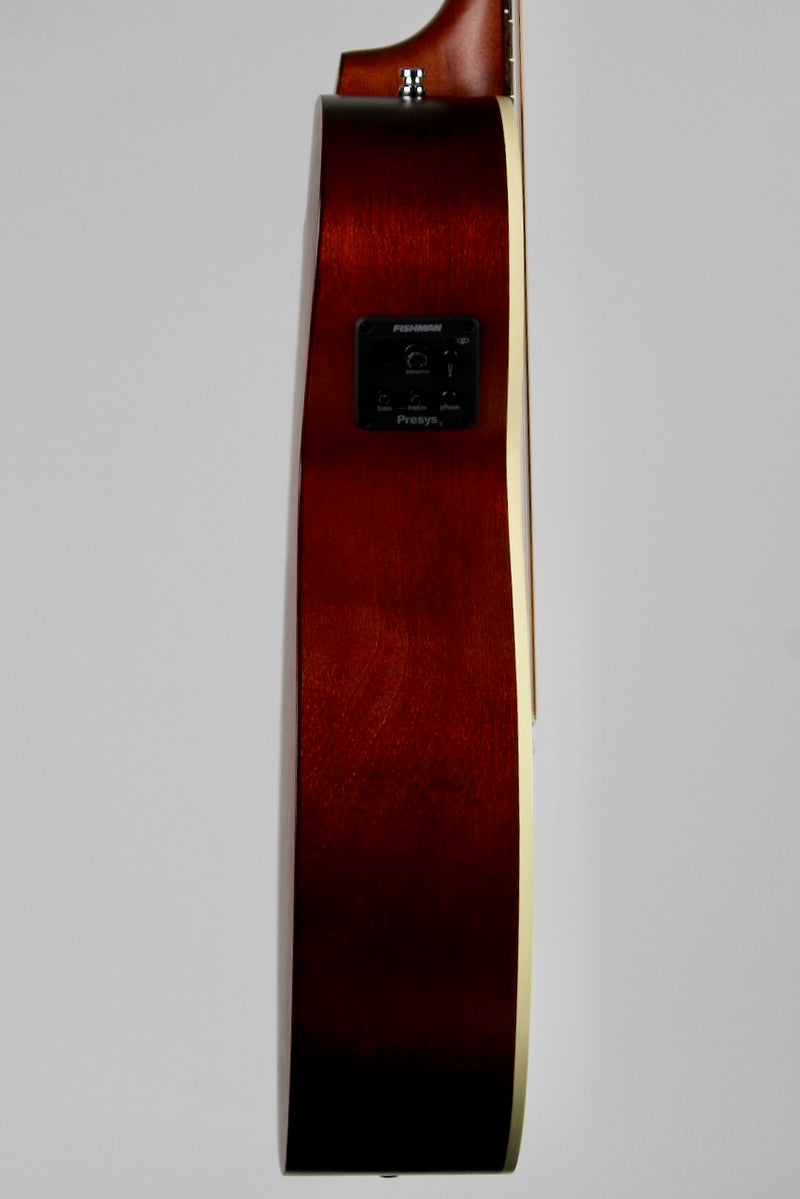 Seagull Entourage Concert Hall A/E Cutaway - Rustic Burst (053653)