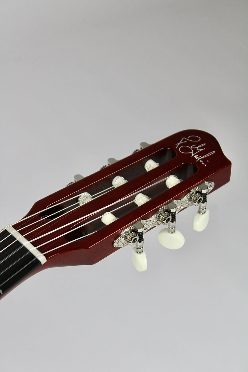 Godin ACS-SA Prototype - Bleu/Gris Denim Flammé (démo)