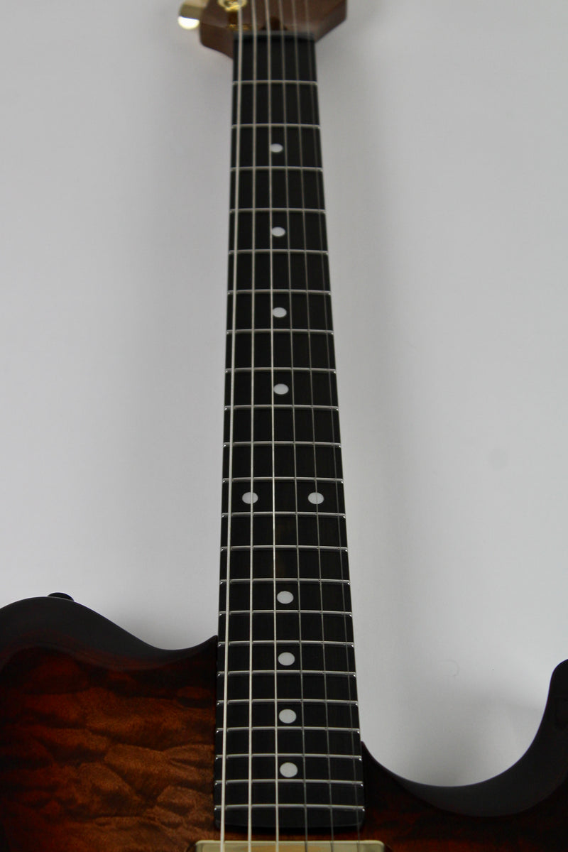 Godin Artisan TC Whiskey Burst EN (demo)