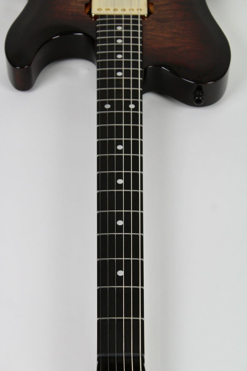 Godin Artisan TC Whiskey Burst EN (demo)