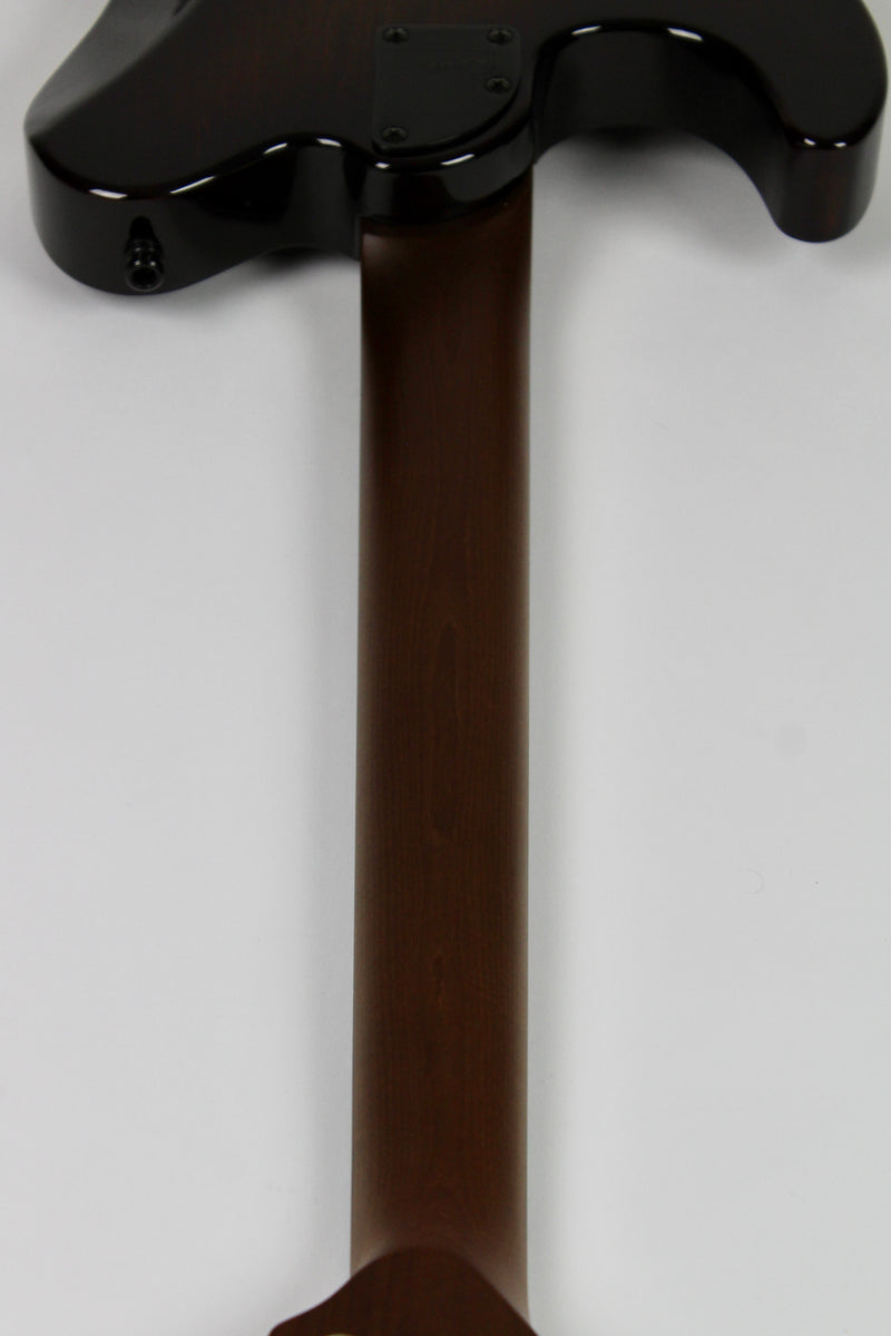 Godin Artisan TC Whiskey Burst EN (demo)