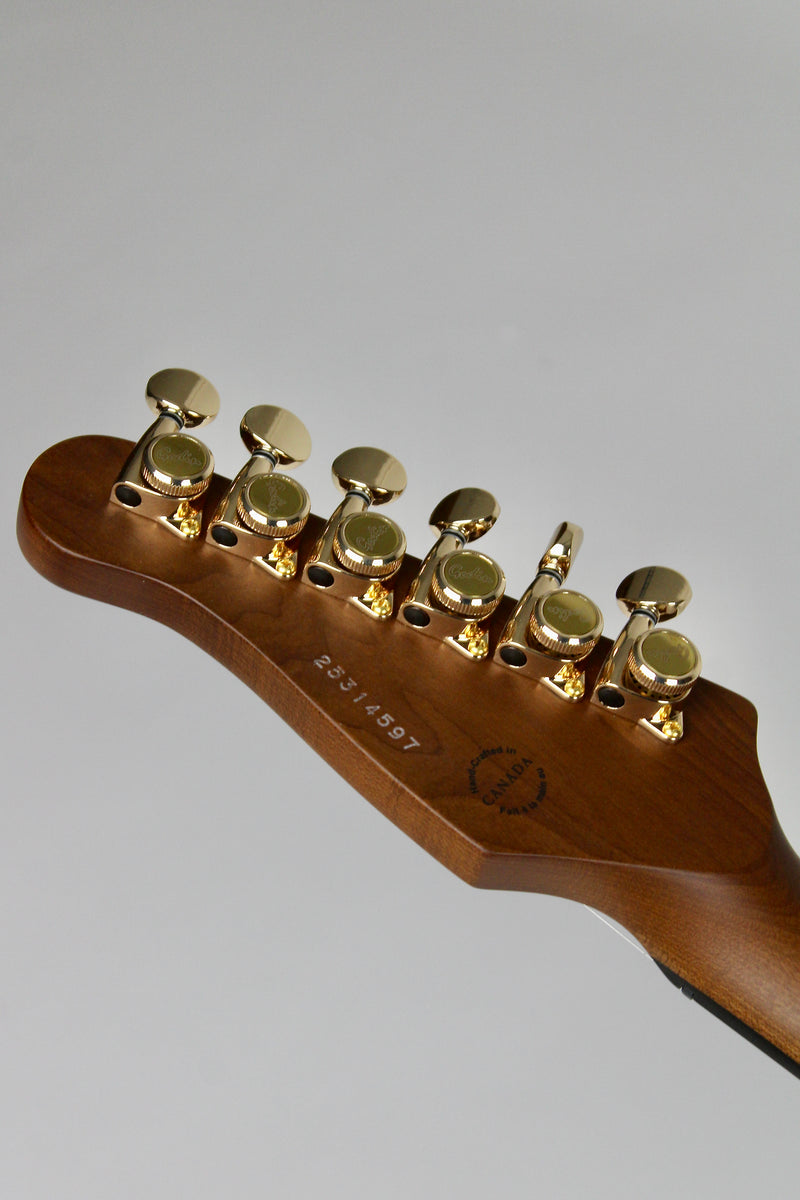 Godin Artisan TC Whiskey Burst EN (demo)