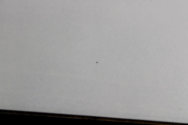 Godin RG-4 Ultra Carbon White RN (Second Factory) w/Gig Bag (050420F)