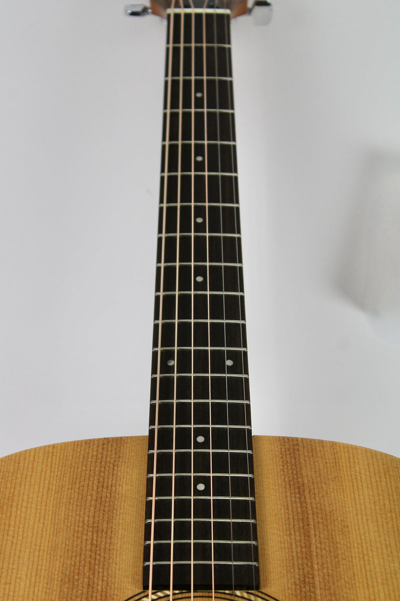 Taylor Academy 10e Naturelle avec Étui Souple