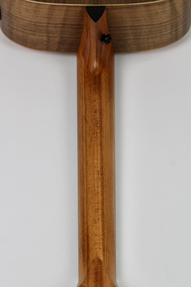 Taylor Academy 10e Naturelle avec Étui Souple