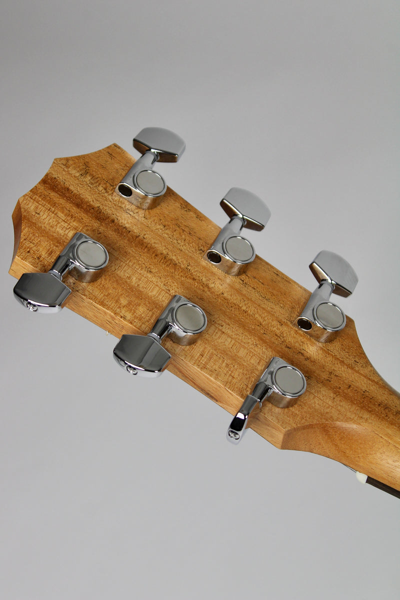 Taylor Academy 10e Naturelle avec Étui Souple