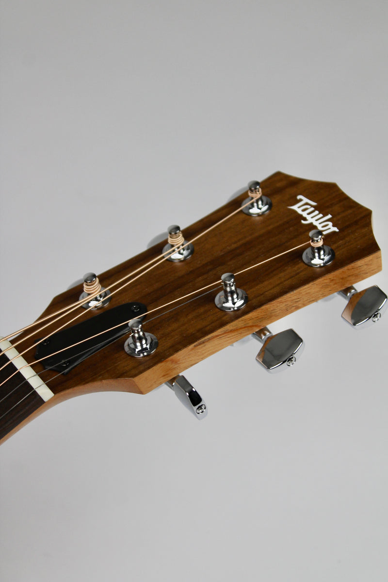 Taylor Academy 10e Naturelle avec Étui Souple