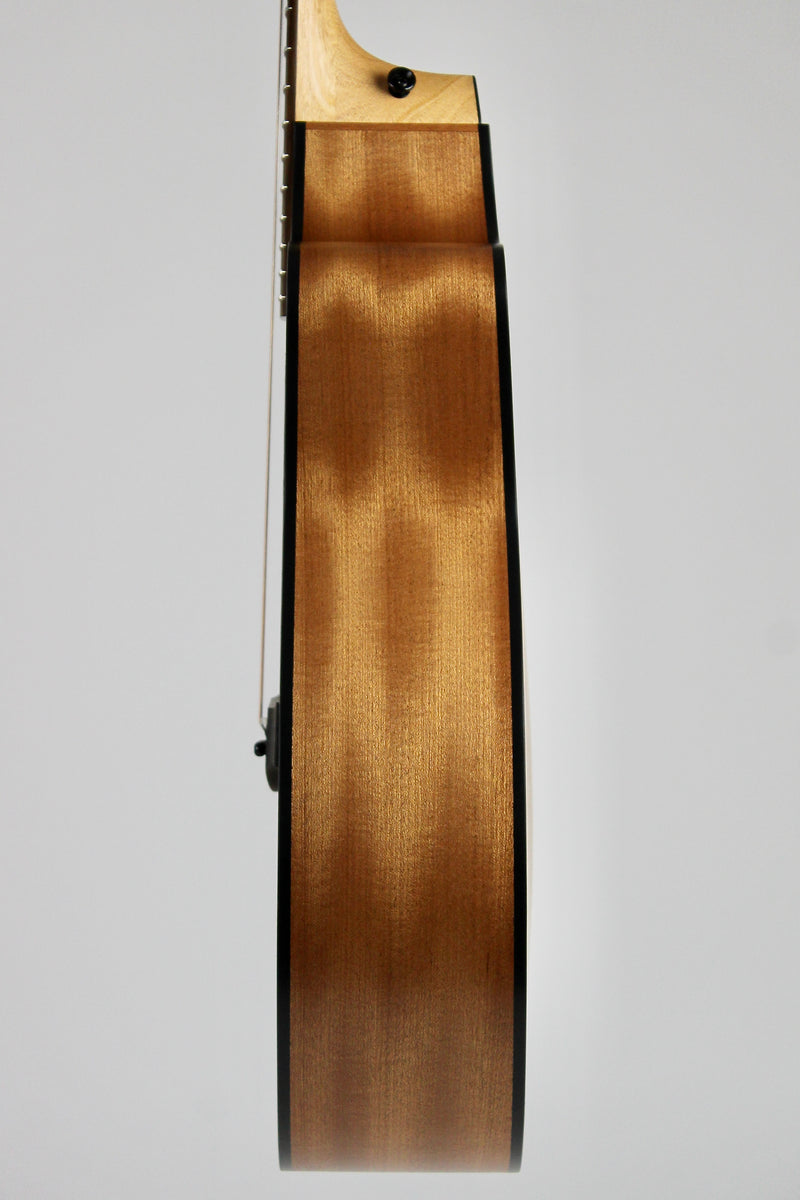 Taylor 114ce Épinette/Sapelli - Naturel avec Étui Souple