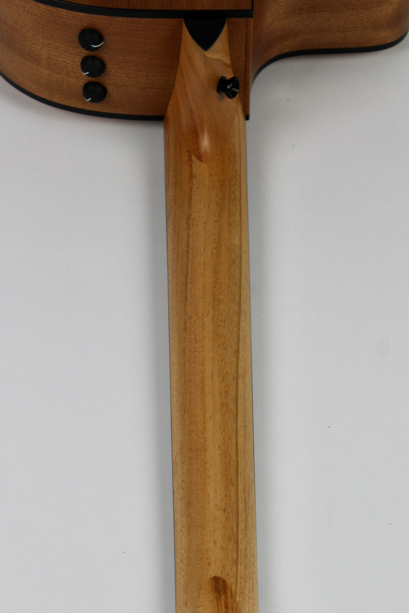 Taylor 114ce Épinette/Sapelli - Naturel avec Étui Souple