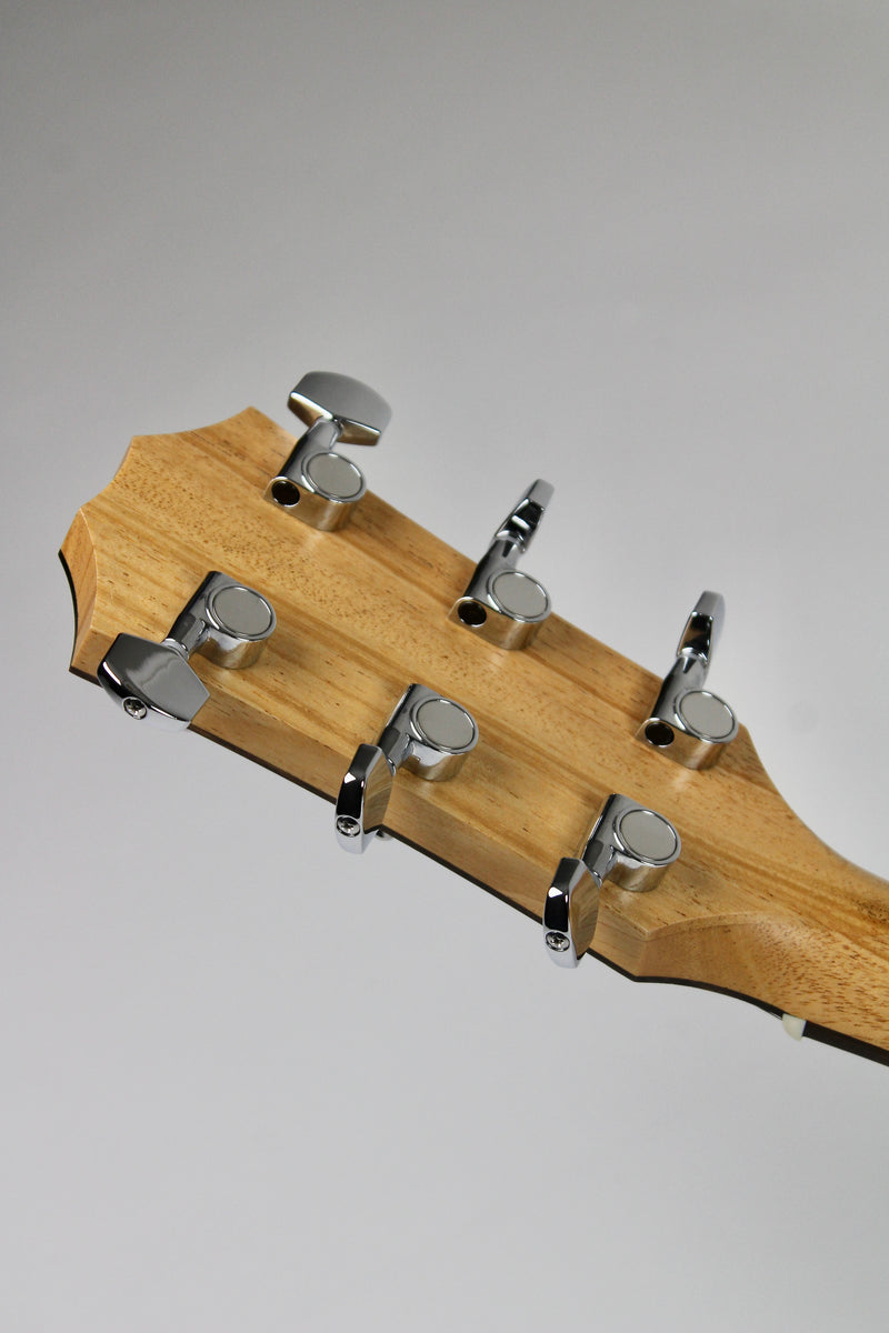 Taylor 114ce Épinette/Sapelli - Naturel avec Étui Souple