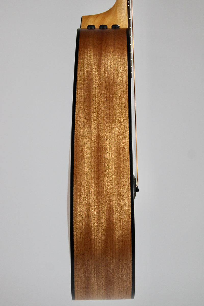 Taylor 110ce avec étui souple