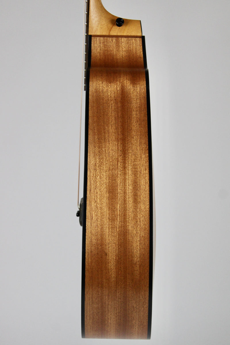 Taylor 110ce avec étui souple