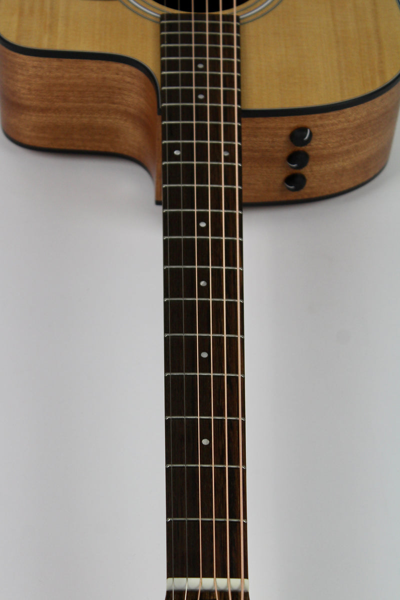 Taylor 110ce avec étui souple