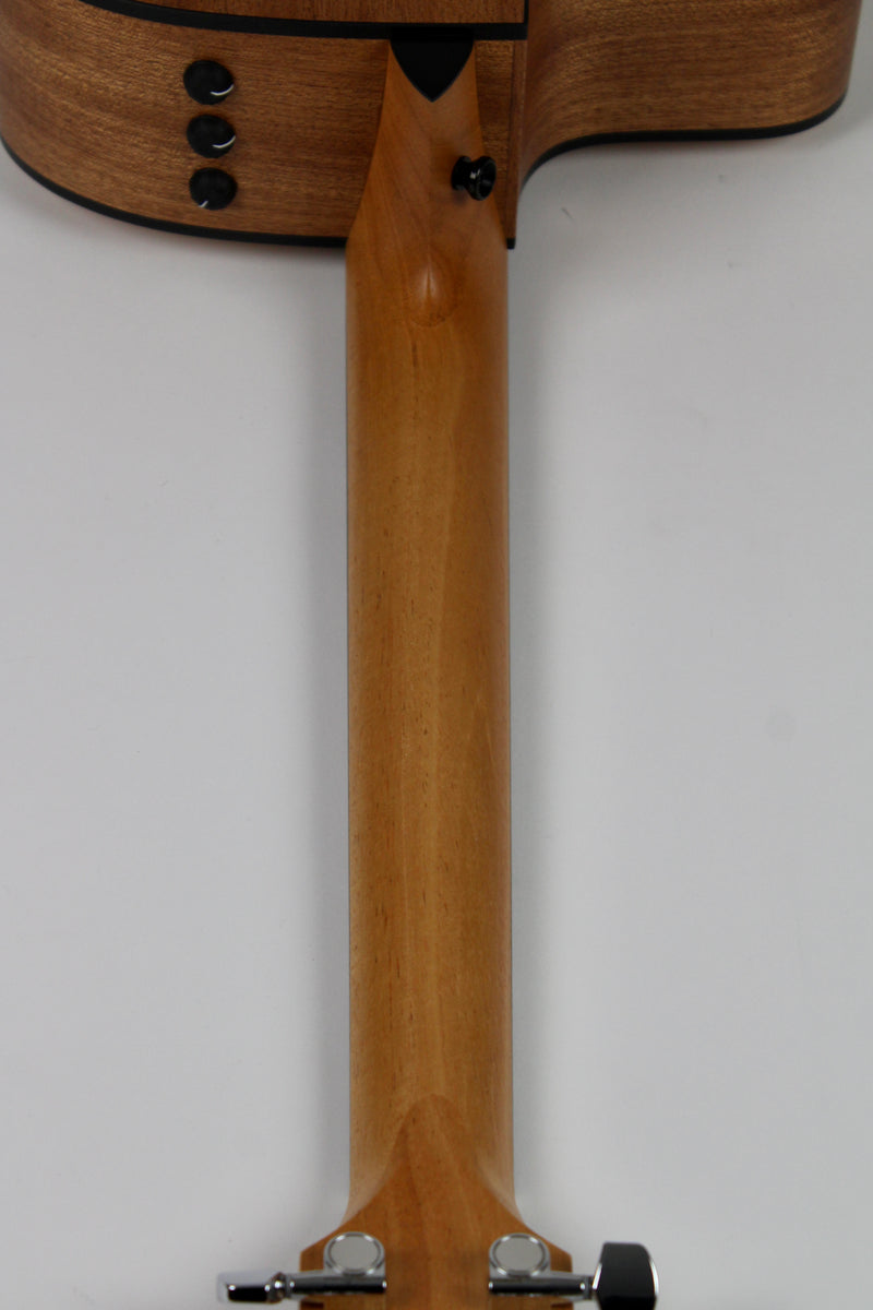 Taylor 110ce avec étui souple