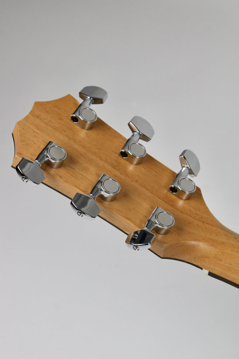 Taylor 110ce avec étui souple