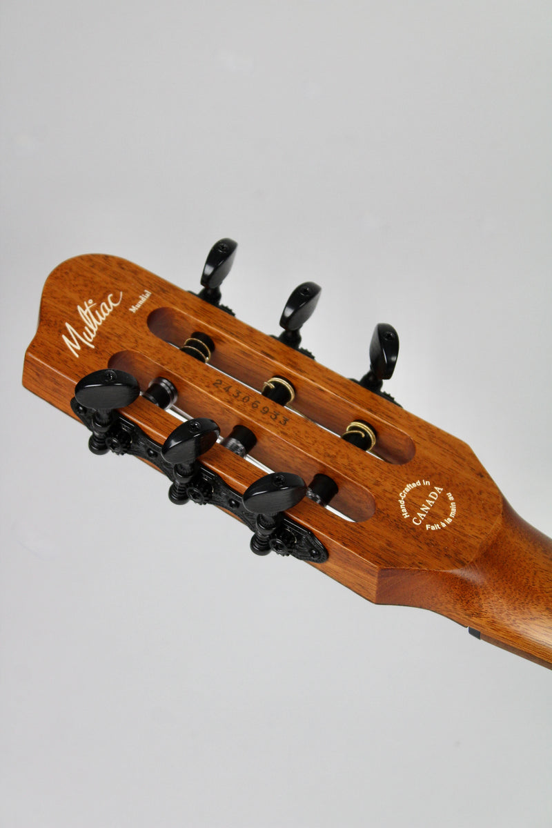 Godin Multiac Mundial - Kanyon Burst (demo)