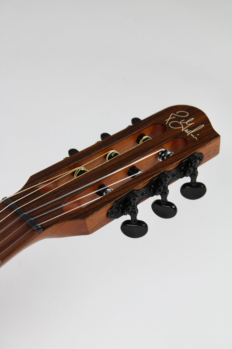 Godin Multiac Mundial - Kanyon Burst (demo)