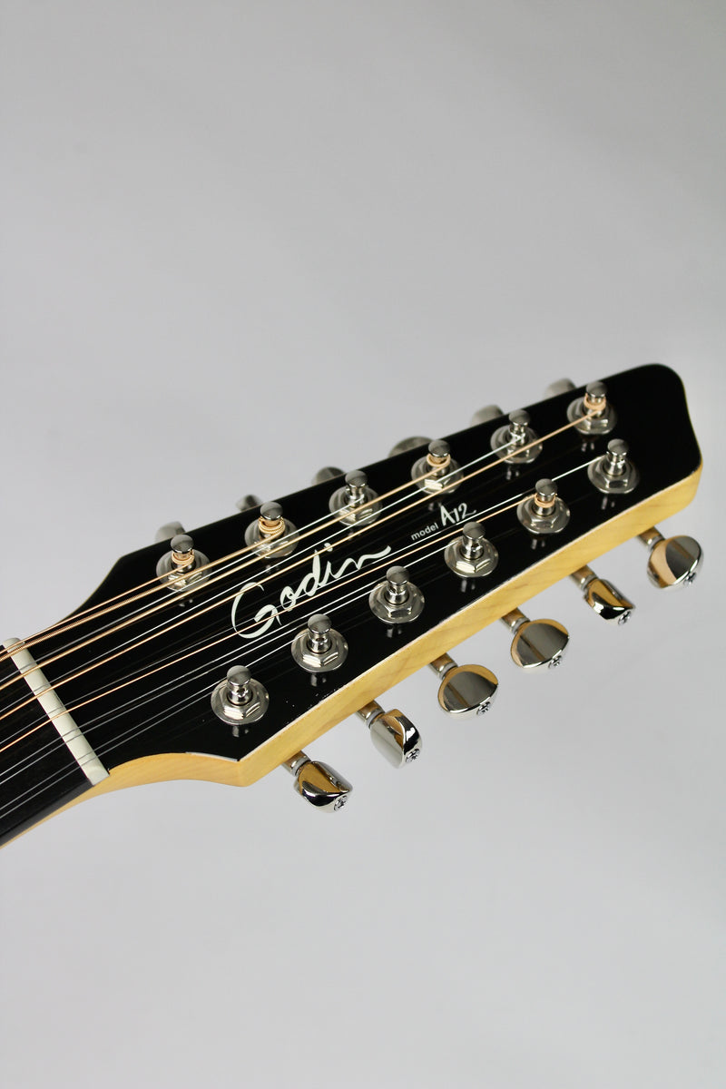 Godin A12 Noir HG (B-Stock)