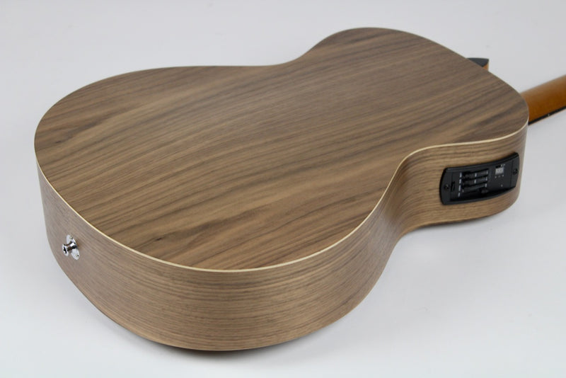 Taylor Academy 22e Natural w/Gig Bag