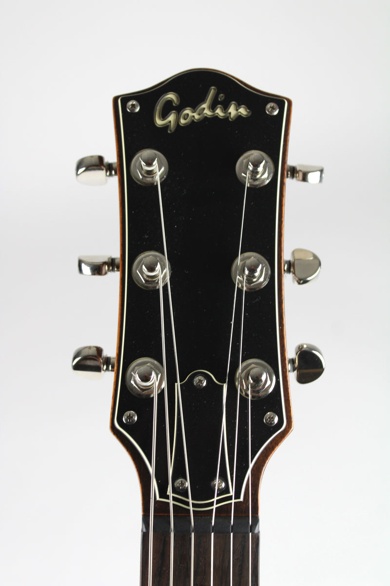 Godin Radium - Winchester Brown (demo)
