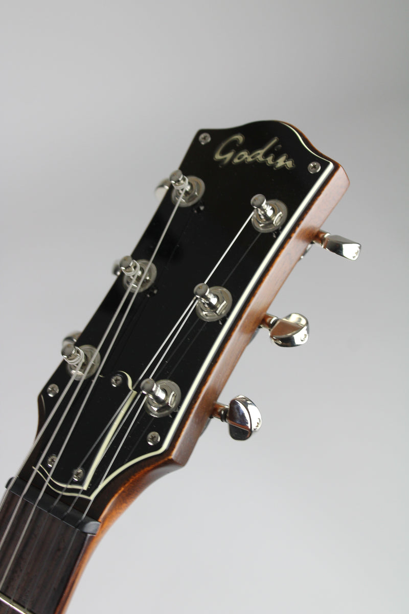 Godin Radium - Winchester Brown (demo)