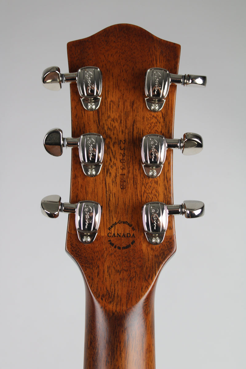 Godin Radium - Winchester Brown (demo)